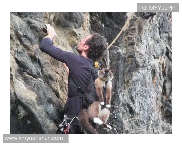 成都攀岩队意识差异分析及其对训练效果的影响探讨 成都攀岩队意识差异分析及其对训练效果的影响探讨